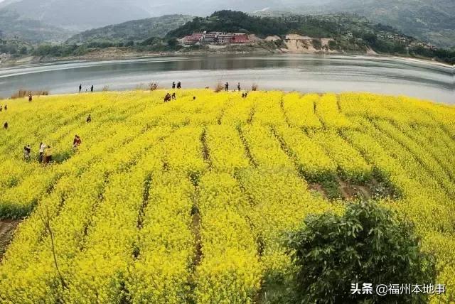 超详细！在福州再也不怕找不到路了！这条微信值得收藏