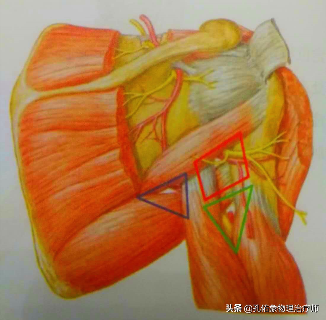 手指麻木是三大疾病前兆,手指麻木疼痛怎么治疗最好