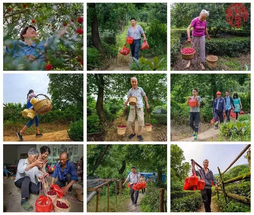 苏州通安的特色,苏州通安有什么美食