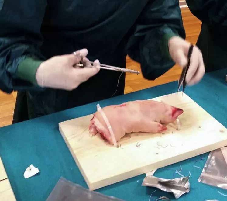 蚂蚁和蚂蚁之间是怎样沟通的呢,蚂蚁和米混在一起怎么拿出来