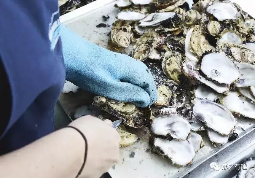 中国人在澳大利亚做劳务中介,移民澳大利亚后工作好找吗