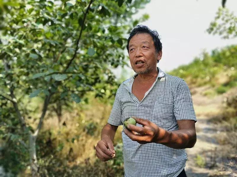 伊川县千年古镇,当过县城出过娘娘,可以摘核桃品美食