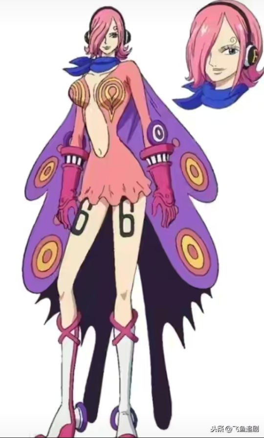 海贼王机械甲,海贼王里特殊的武器