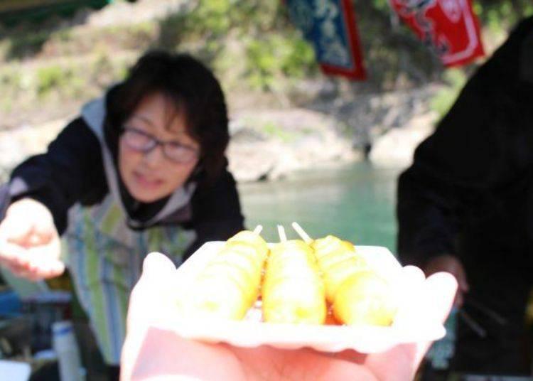 京都保津川,日本京都游船