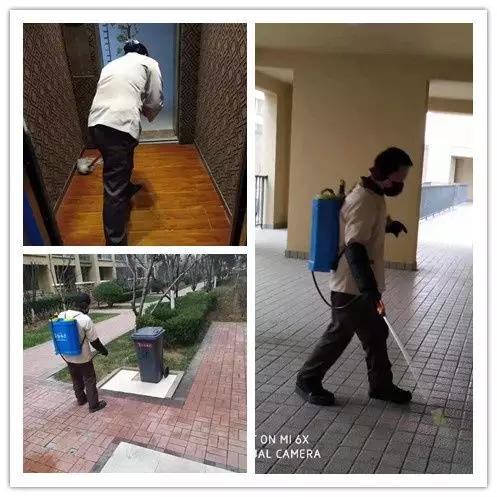 买房要选择什么样的物业才安心呢,买房首选的十大物业