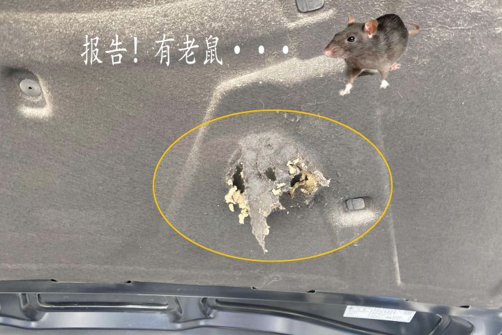 颠覆你传统认知的一款产品,新款奥迪a5敞篷入门级多少钱