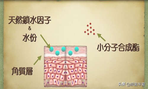 每天都要卸妆的原因,每天都要卸妆水卸妆吗