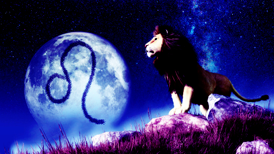 摩羯座男生的完美配对,高冷的聪明的男生最喜欢什么女生