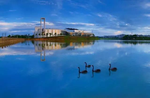 安徽一职高宿舍三人考取安师大,安徽一高校学霸寝室集体考研上岸