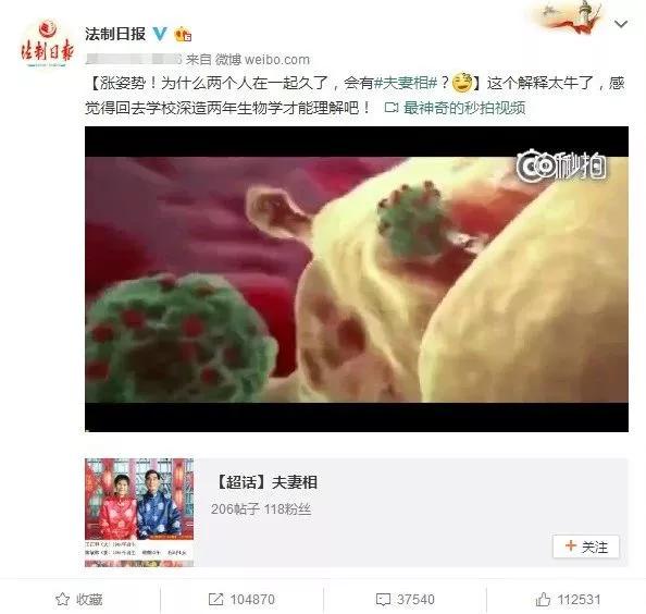 为啥会有夫妻相真的是接吻造成的,接吻为什么会有夫妻相