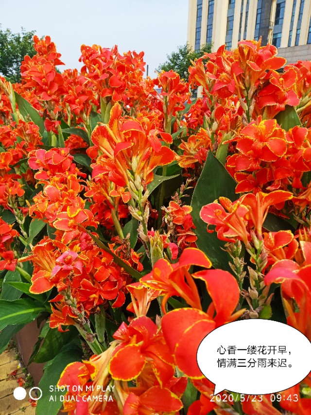 芒种种出新希望,芒种和幸福播种