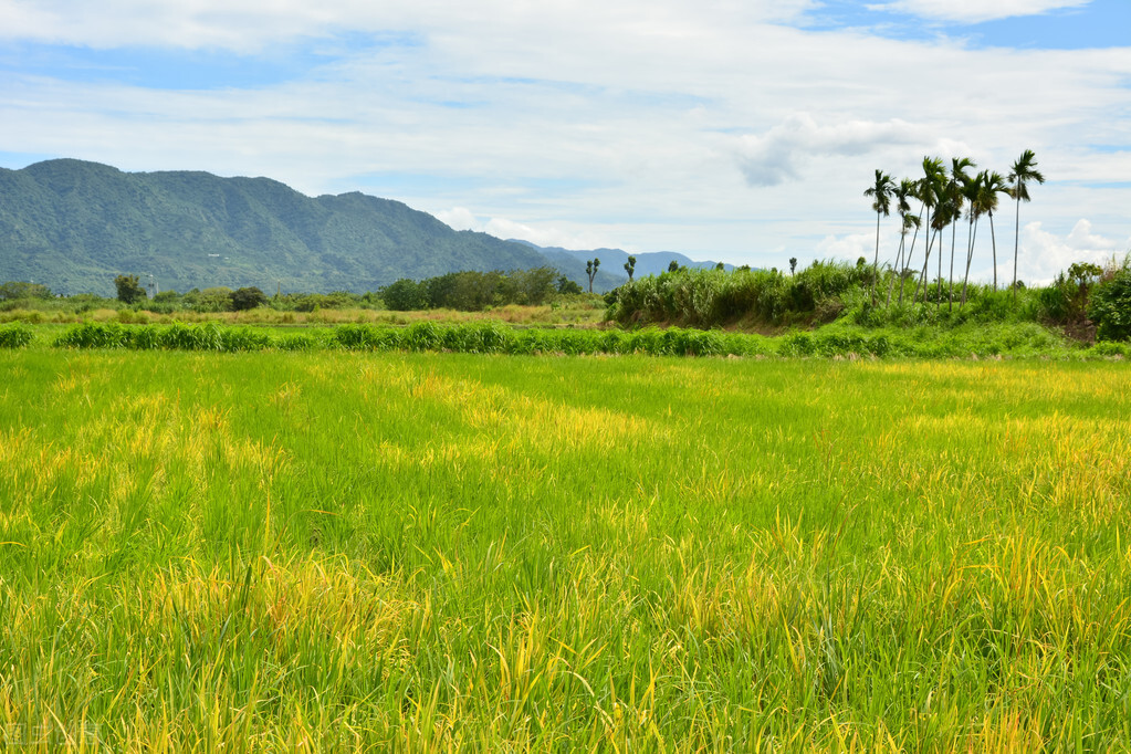 浜烘枃鍦扮悊璧拌繘鍙版咕,鍙版咕涔℃剚鍦板浘
