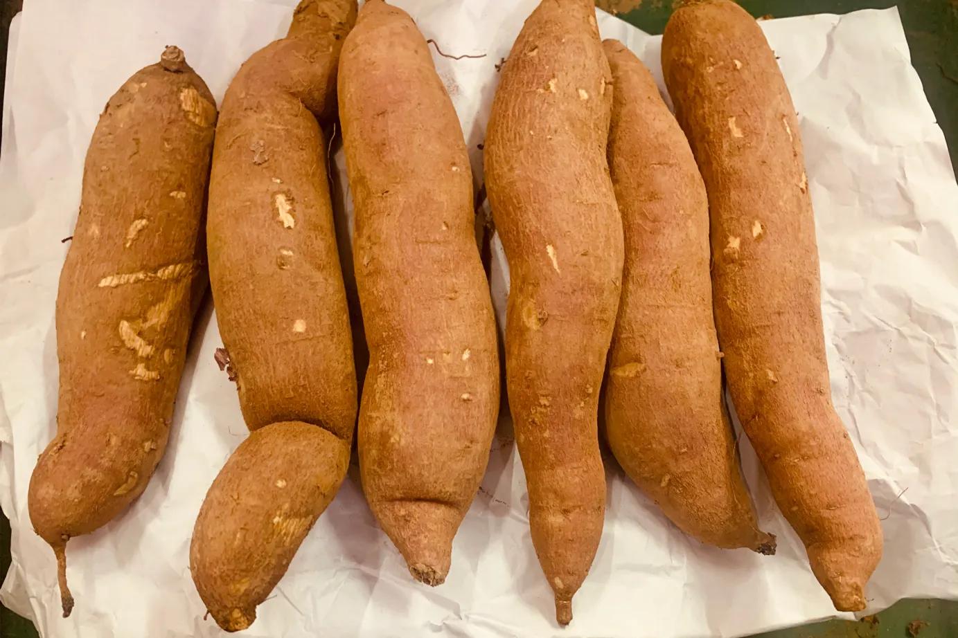 红薯怎么保存才能保鲜不烂,红薯怎样储存不发芽不坏