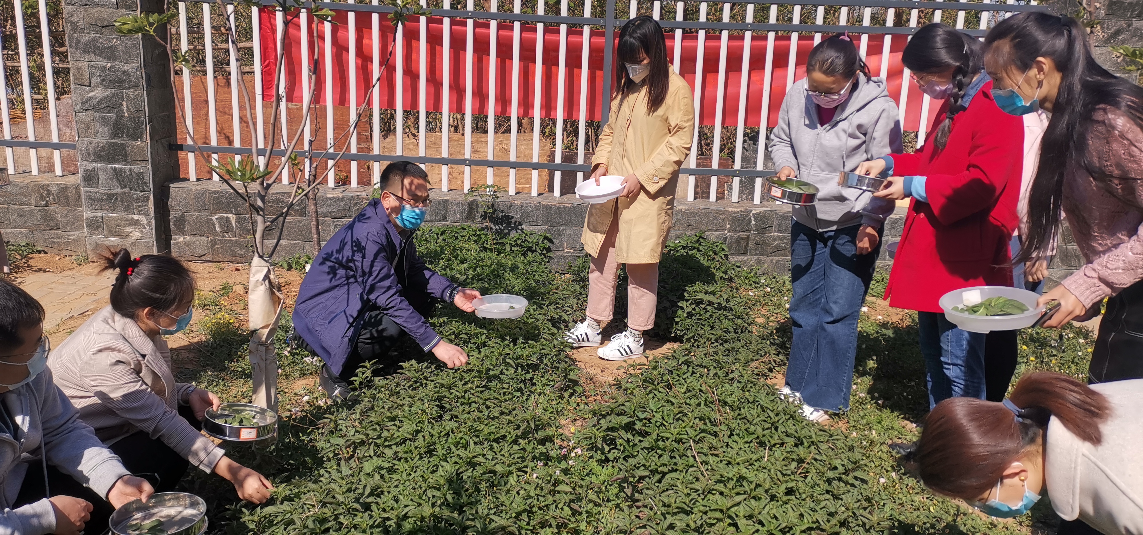 逸夫小学劳动教育实践活动,小学劳动教育教研活动记录