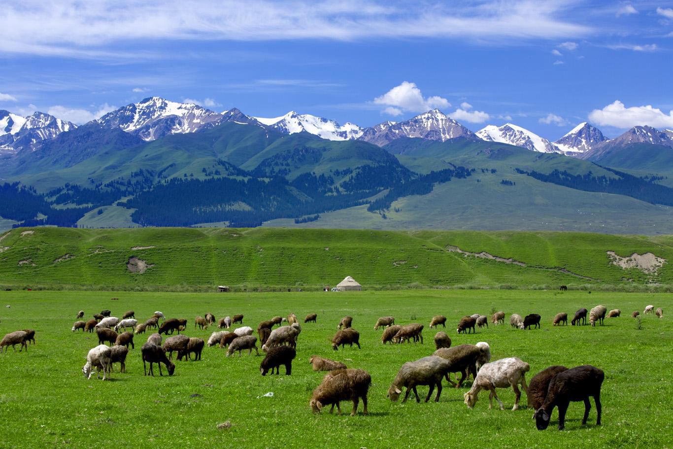 旅游去南疆好还是北疆好,全疆游可以先南疆再北疆吗
