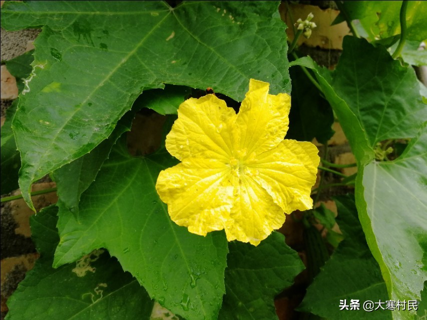 蹲的时间长一站起来头晕,蹲的时间长站起来突然晕一下