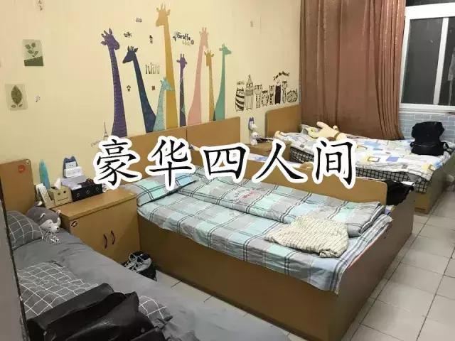 苏州大学文正学院专转本2020,苏州大学文正学院专转本人力资源