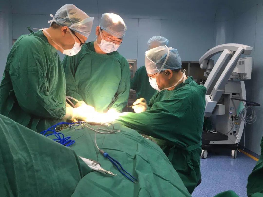 张志愿院士海南,张志愿院士最新视频