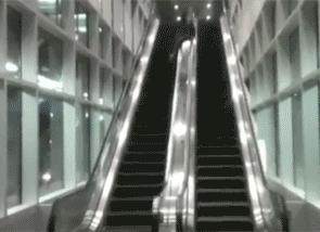 摄影作品点评差,熊猫摄影评分