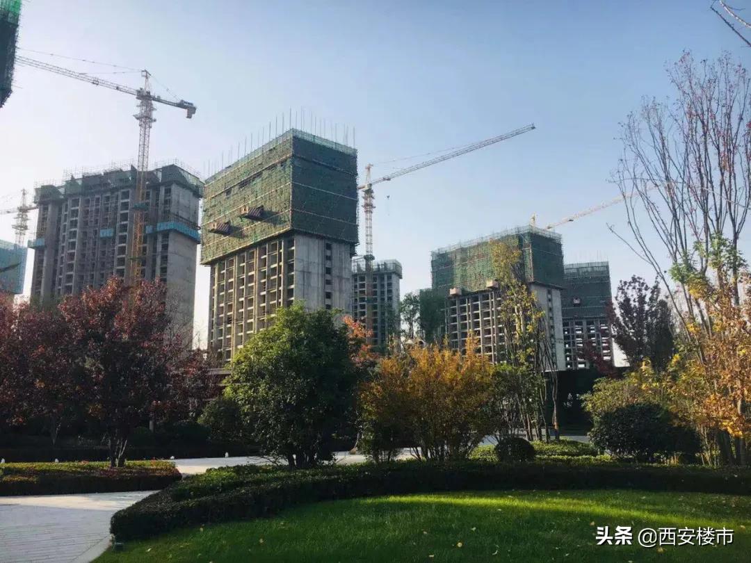 咸阳启迪与秦汉科技城,秦汉启迪佳莲未来科技城怎么样