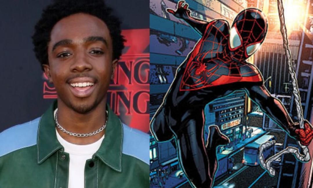 托比蜘蛛侠最新消息,蜘蛛侠加菲与托比见面