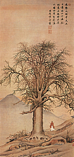 苏先生读诗｜古诗《春夏秋冬田园山水农村西湖植物景中情》