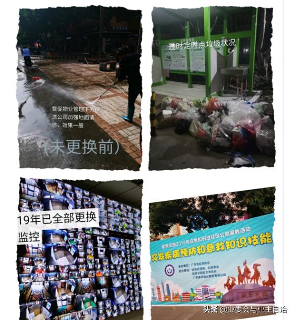 把庭院打造成美丽花园的最佳方法,为建设美好生态公园城市添砖加瓦