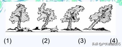 野外找水源最好的办法,野外四种找水方法