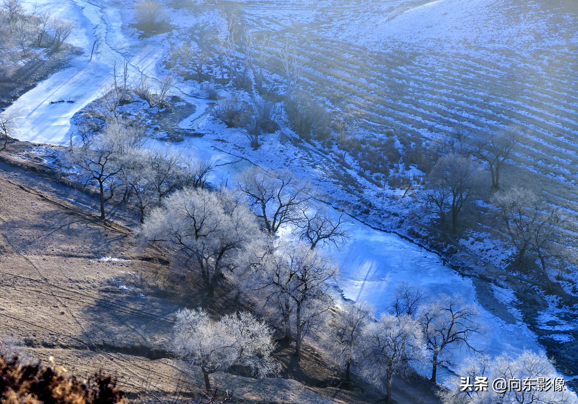 尼康z7一代高感,尼康z7ii4k60p是超采样吗