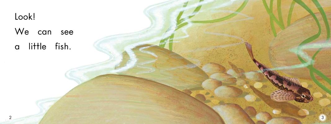 学前儿童可点读绘本,幼儿绘本可点读