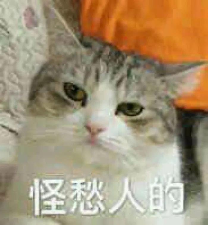 大学生每月生活费多少钱合适,大学生一般每个月生活费多少钱