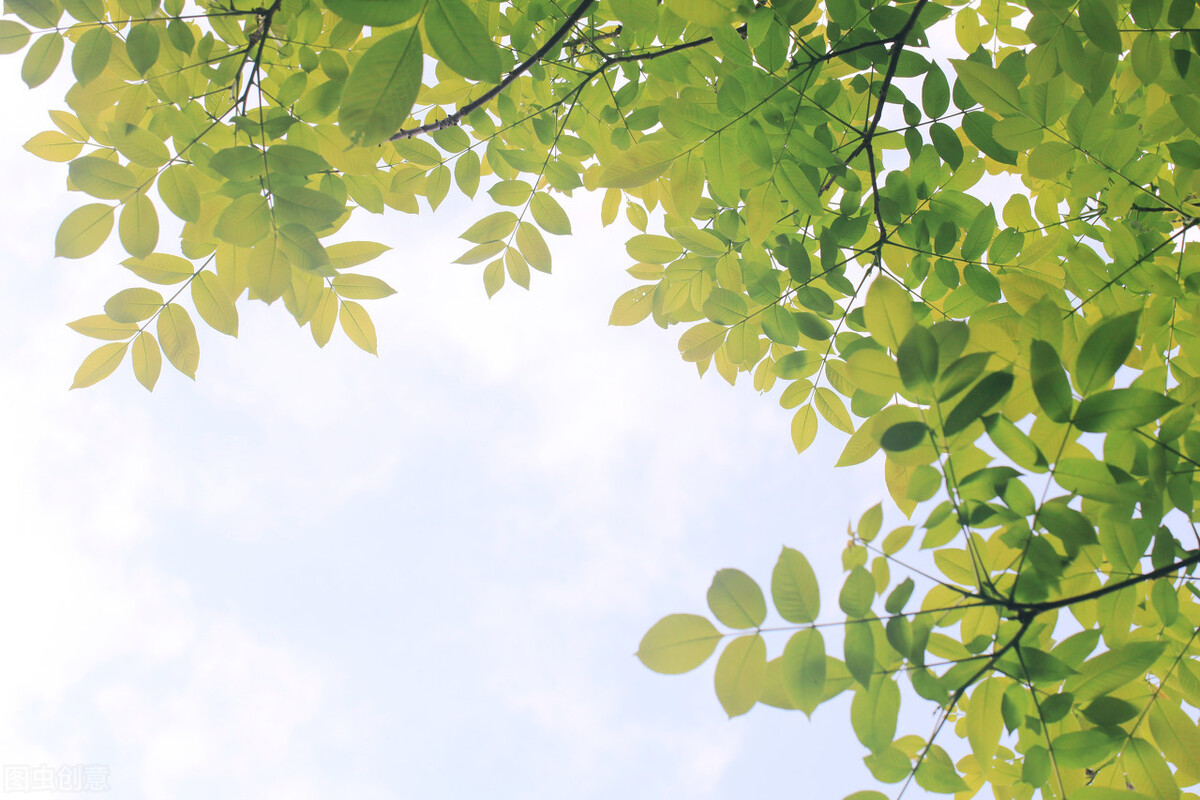 和大姑姐关系不好老公该怎么办,大姑姐要结婚我怎么表示