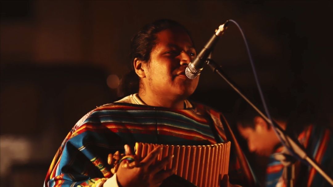 8块钱的沙丁鱼，当街烤制太美味，看船长如何玩转波尔图