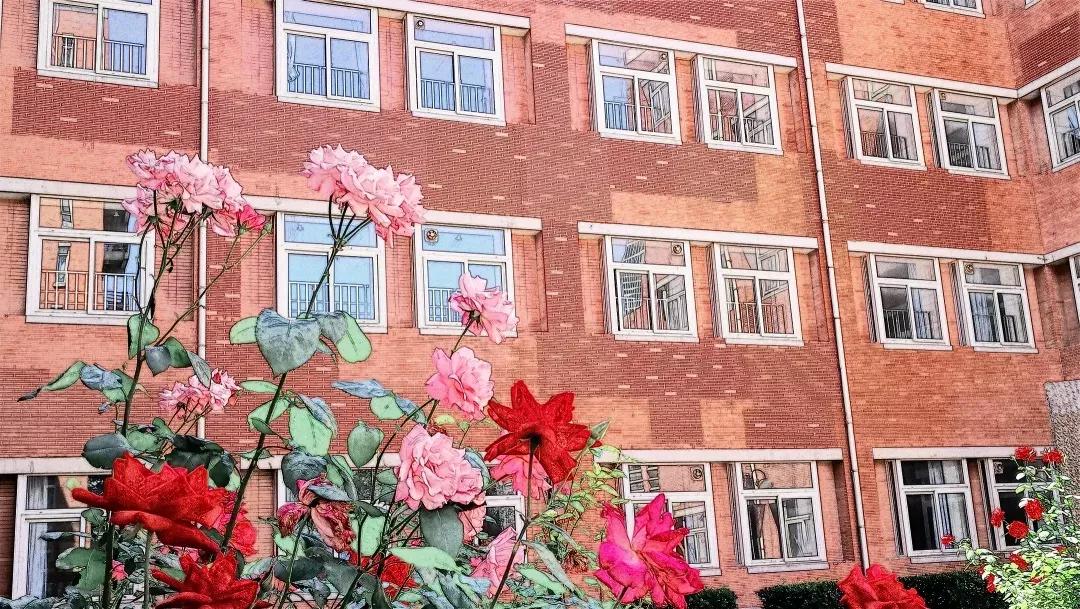 天津高级中学,天津市第二南开中学录取分数线