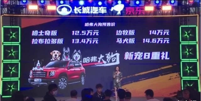 拉布拉多一窝13只哈士奇,哈士奇和拉布拉多哪个贵