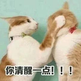 天正cad快速绘图技巧,天正暖通cad制图