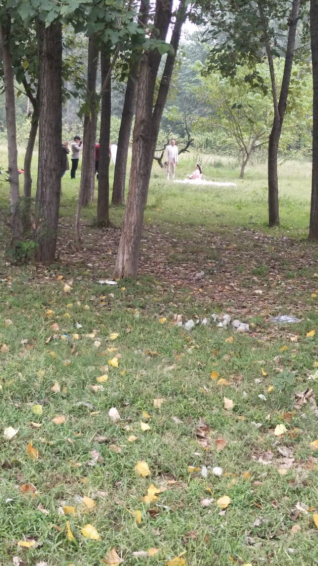 南阳李宁体育园的健身房,李宁体育园南阳