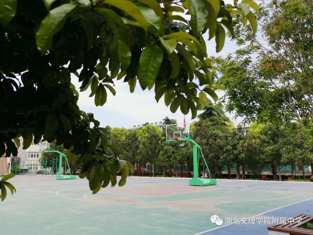 湖北文理学院疫情影响,湖北文理学院的疫情怎么样