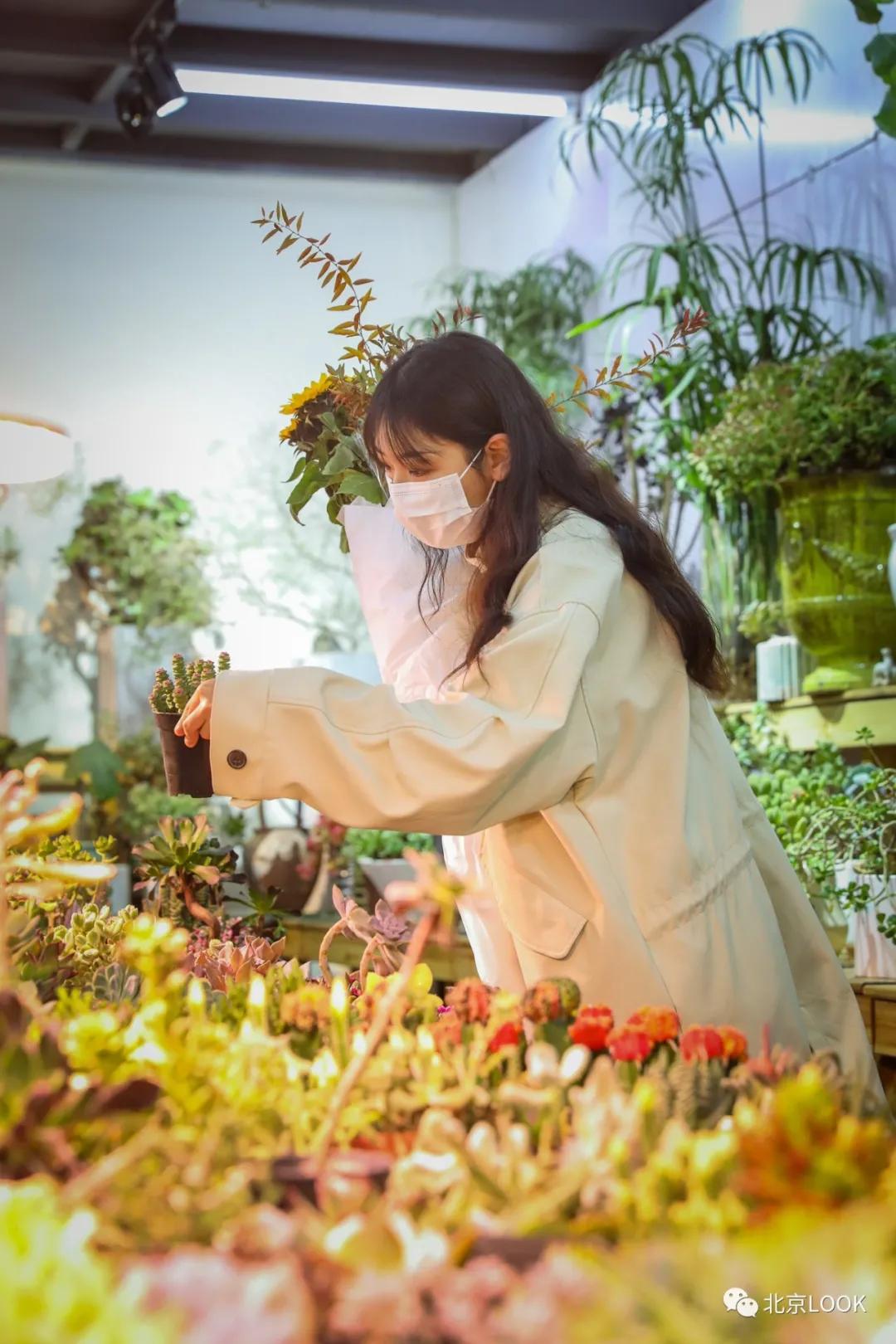 最便宜的北京花市,北京超好逛的花市