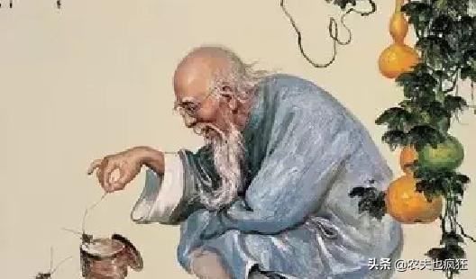 父不入子宅是什么意思,官不入民宅父不进子房有什么讲究