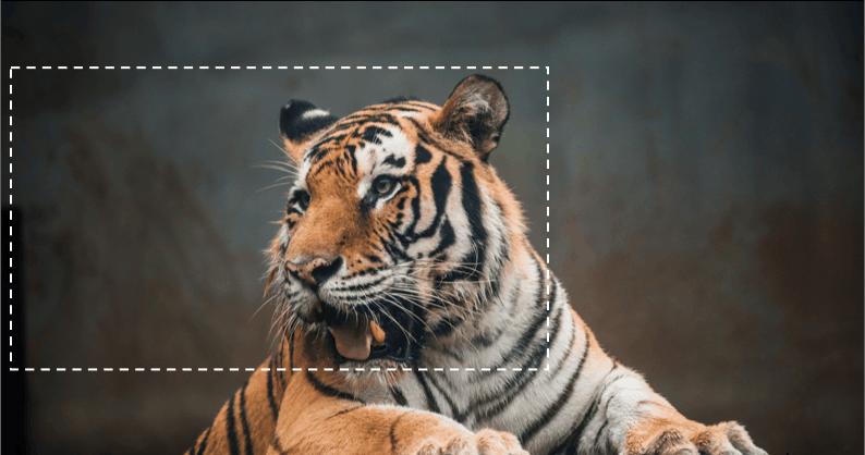 适合做ppt背景的高清大图教学,如何做一个漂亮的ppt背景