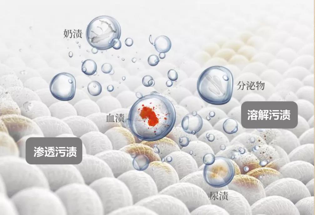 内衣裤专用除菌洗衣液推荐,内衣裤抗菌洗衣液