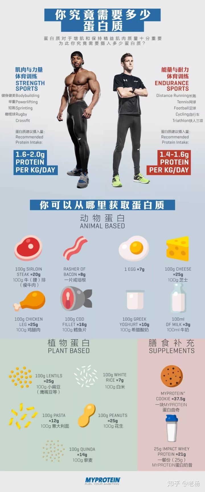 普通健身者吃什么蛋白粉,健身吃煮蛋还是蛋白粉