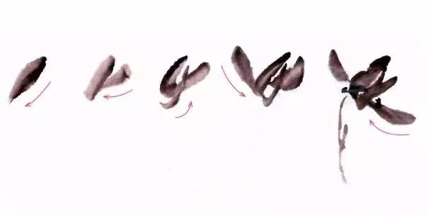 兰花绘画技法教程视频,泰国兰花绘画技法