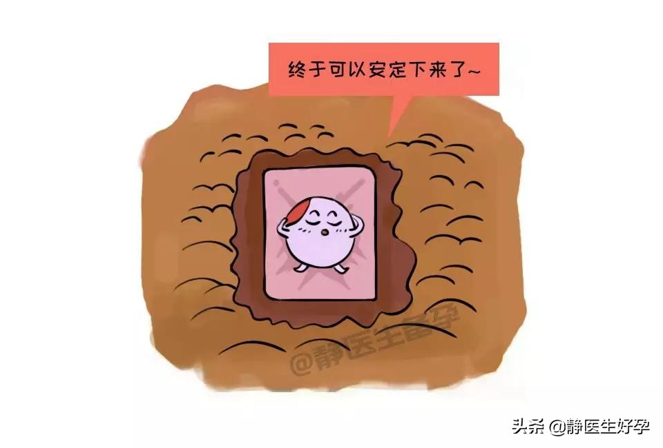 静医生备孕是真的还是假的,内膜薄备孕前调理还是备孕后