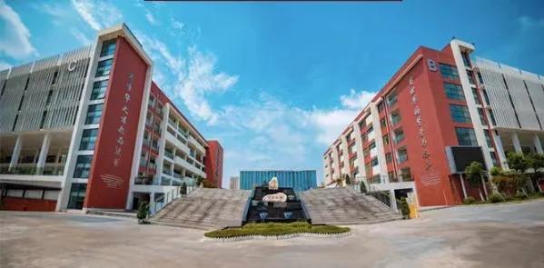 成都各高校附属小学,成都各大学的附属学校