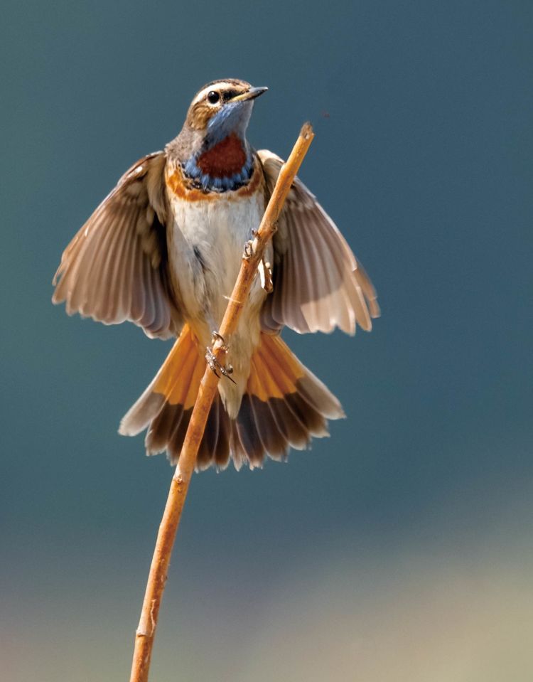 情人岛拍摄地点,情人岛航拍视频