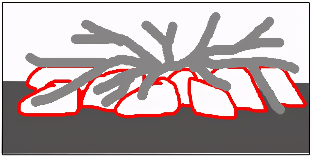 三角形构图水族造景,水族造景构图黄金比例