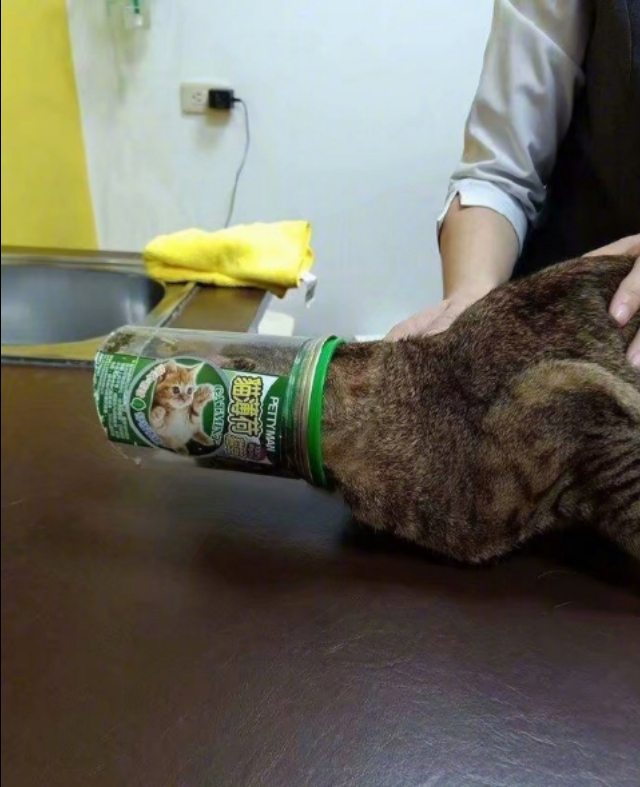 女朋友吐槽别人沟通方式,当女朋友跟你抱怨时正确操作