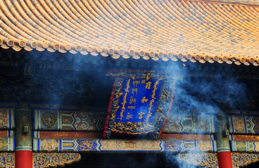 我在原始做代购全文阅读免费,我在原始做代购剧透